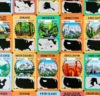 10 Days In The National Parks