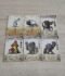 War for the Chicken Island: 6 Cartas Promo