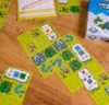Confusing Lands