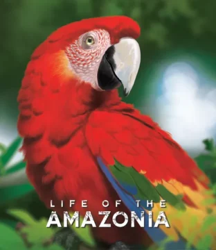 Life of the Amazonia