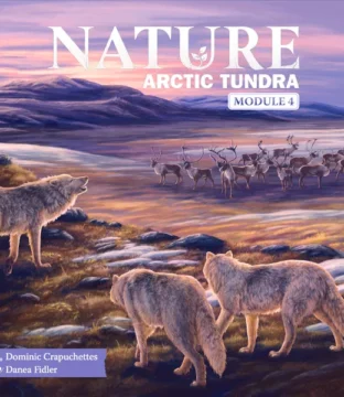 Nature: Module 4 Artic Tundra