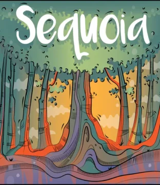 Sequoia
