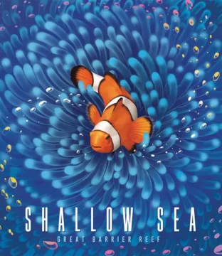 Shallow Sea