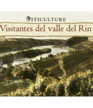 Viticulture: Visitantes del Valle del Rin