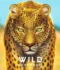 Wild: Serengeti