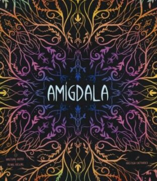 Amígdala