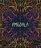 Amígdala