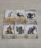 War for the Chicken Island: 6 Cartas Promo