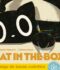 Cat In The Box