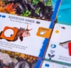 Finspan + Upgrade Pack