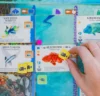 Finspan + Upgrade Pack