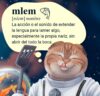 MLEM Agencia Espacial