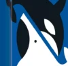 Whale to Look