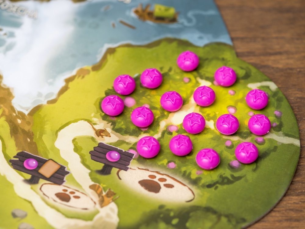 EVERDELL EDICIÓN COLECCIONISTA - Image 5