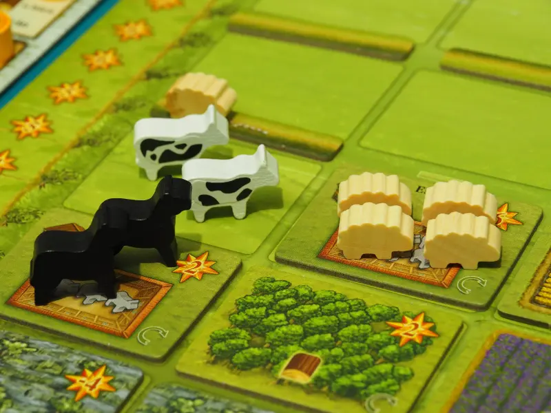 Campos de Arle Big Box - Image 5