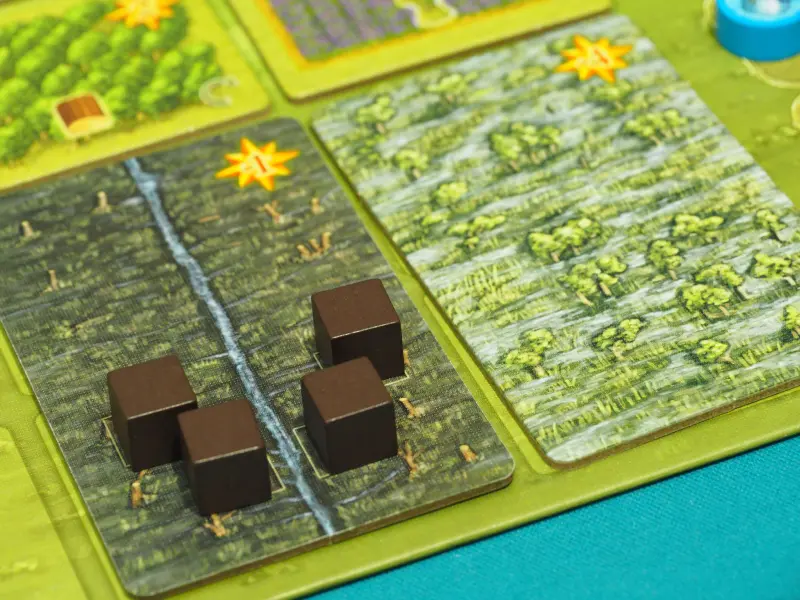 Campos de Arle Big Box - Image 7