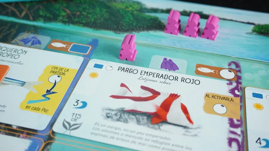 Finspan (español) - Image 4