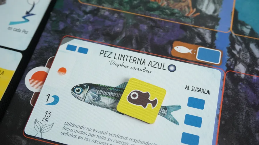 Finspan (español) - Image 5