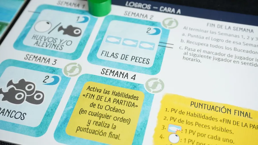 Finspan (español) - Image 7