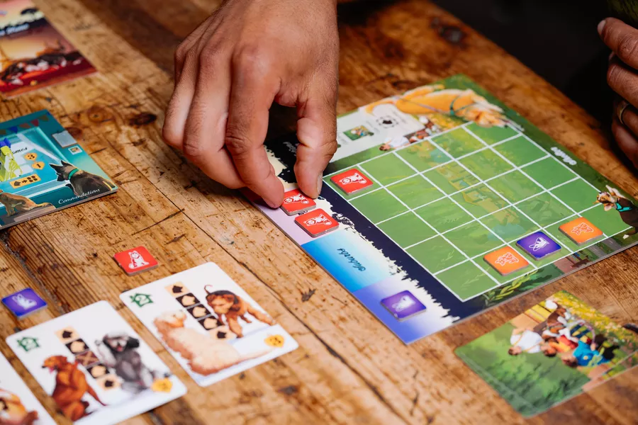 Forever Home - Image 4