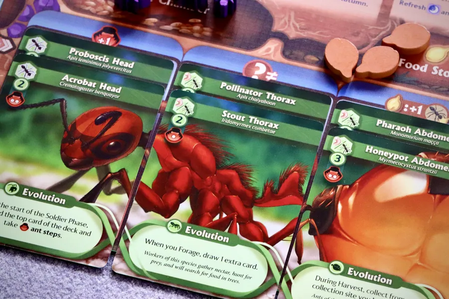 March of the Ants: Evolved Edition - Image 7