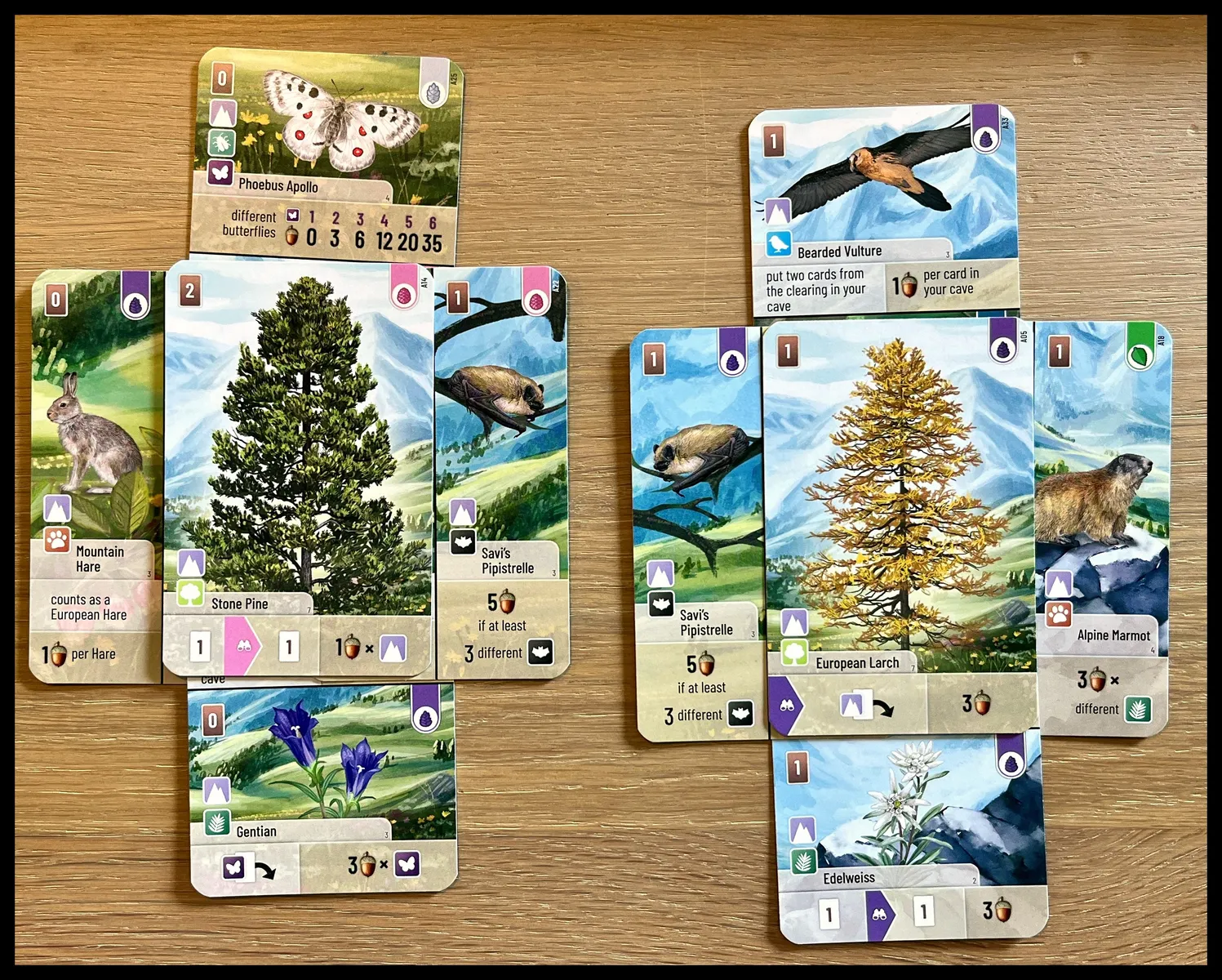 Forest Shuffle Cumbres Alpinas - Image 4