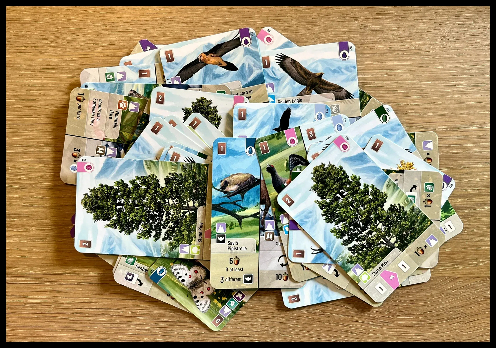 Forest Shuffle Cumbres Alpinas - Image 2