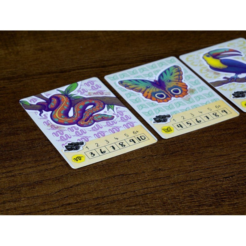 TREK 12: Amazonas - Image 4