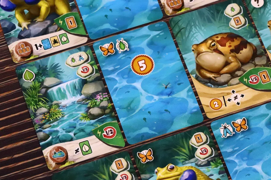 Pondscape + Promo - Image 6