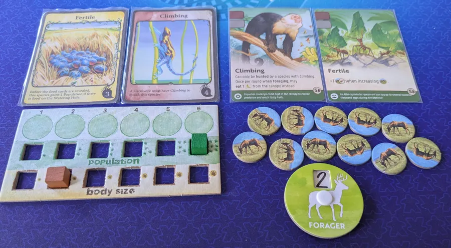 Nature: Amazon Rainforest - Image 2