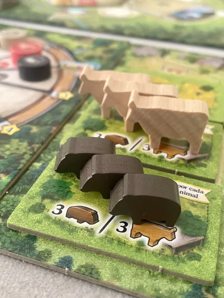 Selva Negra - Image 7