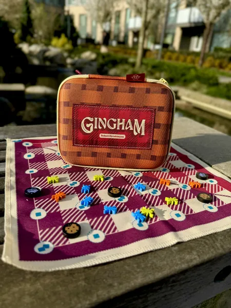 Gingham: Travel Case