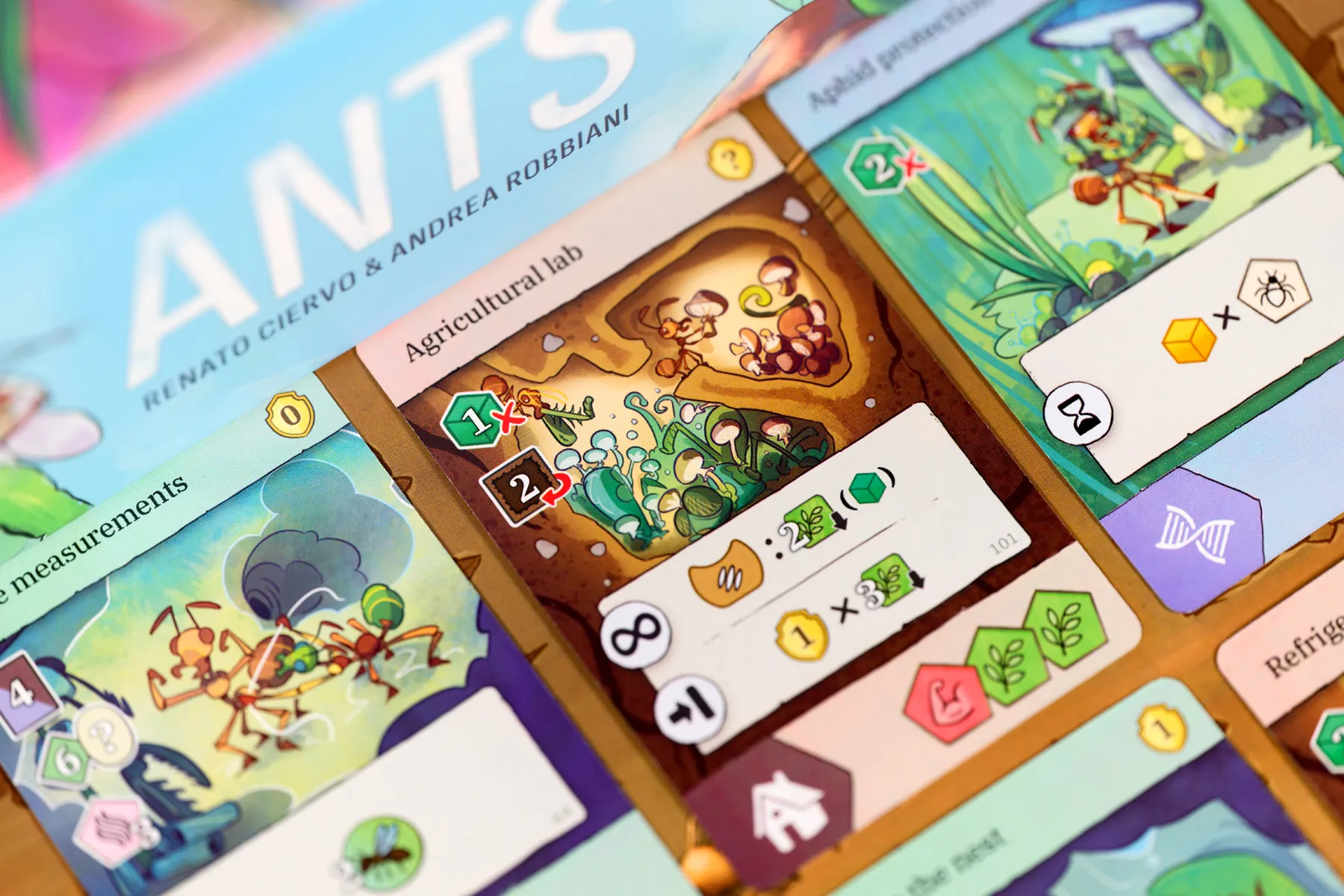 ANTS + Promo - Image 3