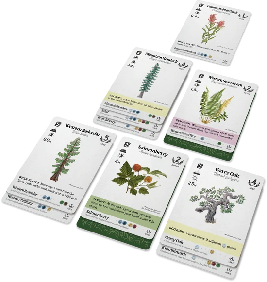 Reforest: Plants of the Pacific Northwest Coast - Image 4